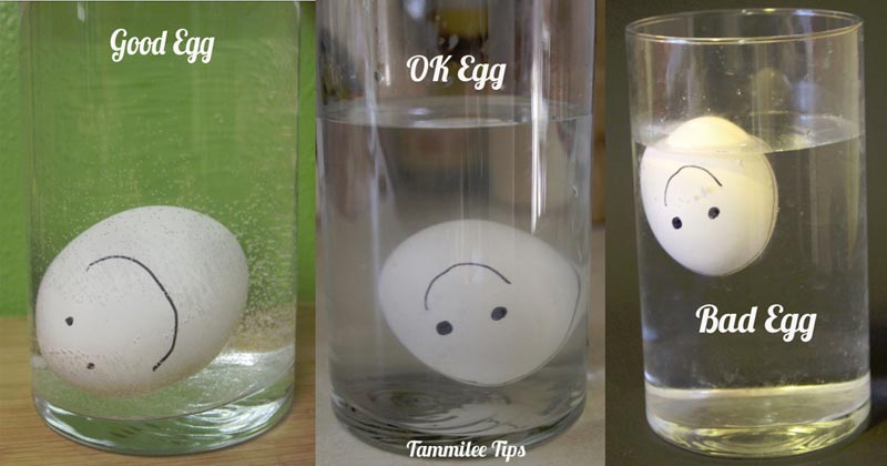 Good-ok-Bad-Egg