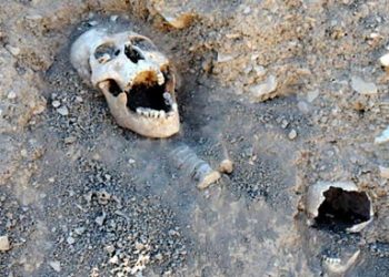 Թուրքիոյ Մէջ Պիտի Ստեղծուի Հայկական Հաւաքական Գերեզմաններու Յայտնաբերման Հիմնադրամ