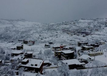 Լիբանան` «Զէյնա»-ի Ազդեցութեան Տակ