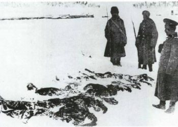 Թաներ Ագչամ.  Սարըղամըշի Մէջ Պատերազմող Հայ Զինուորներ  Եւ Անոնց Գերեվարութեան Նամակները