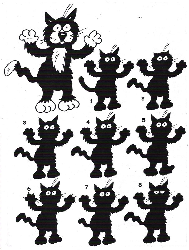 Կրնա՞ս գտնել կատուին համապատասխանող շուքը: