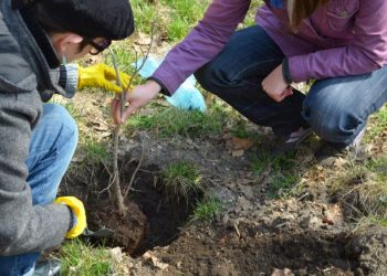 Գաղութէ Գաղութ