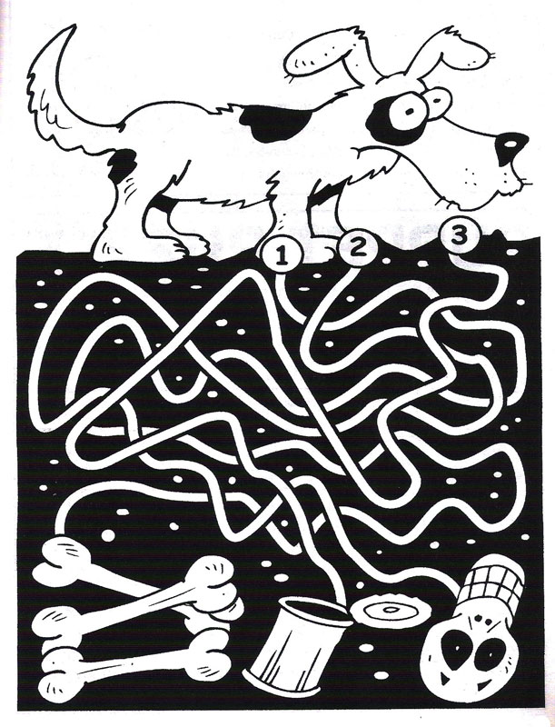 Կրնա՞ս գտնել ոսկորներուն հասցնող ճամբան: