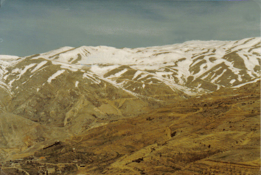 1981-forces-libanaises-bataille-de-zahle-41