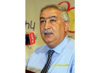 Տեսակէտ.  Զօրակցիլը Չի Բաւեր