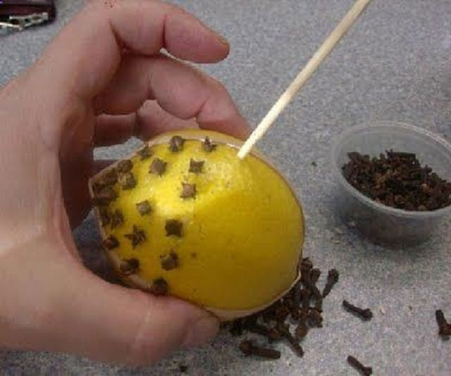 Tricks-That-Keep-Bugs-Away4_8-06-15