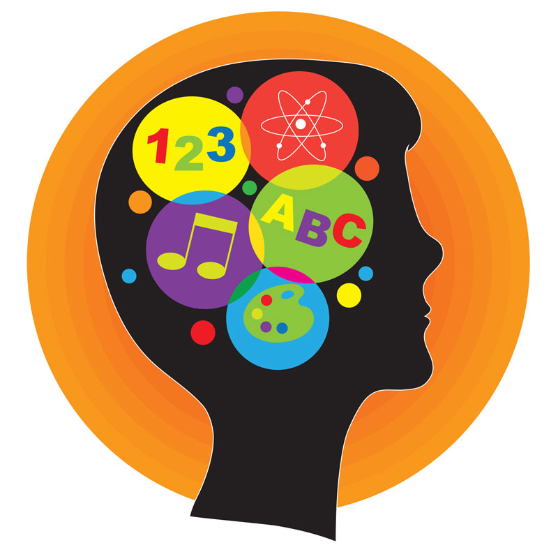 brain_8-06-15