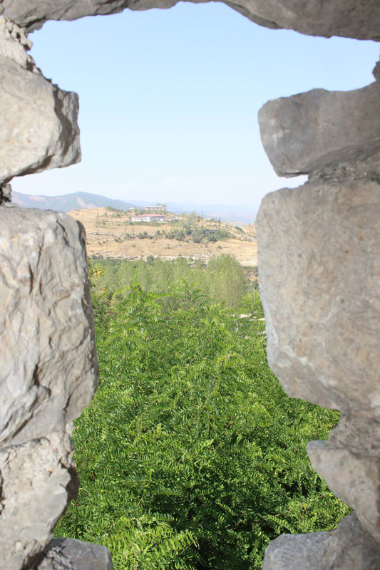 11960437_500453906783000_1141622382_o