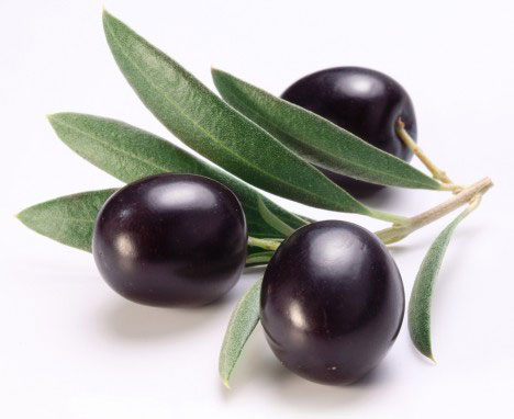 blackOlive_111215
