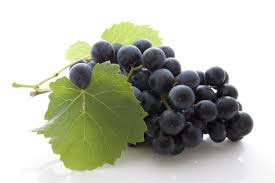 grape_111215