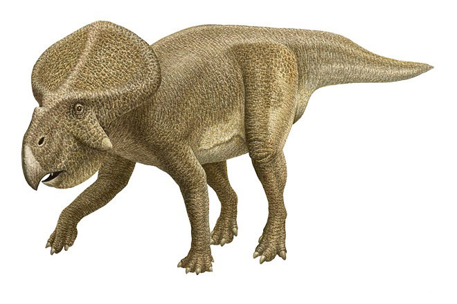 harts-2---Protoceratop