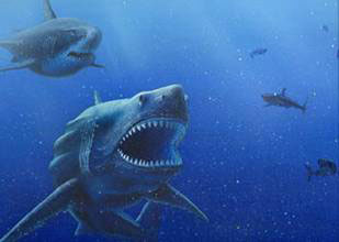 harts-4---Megalodon