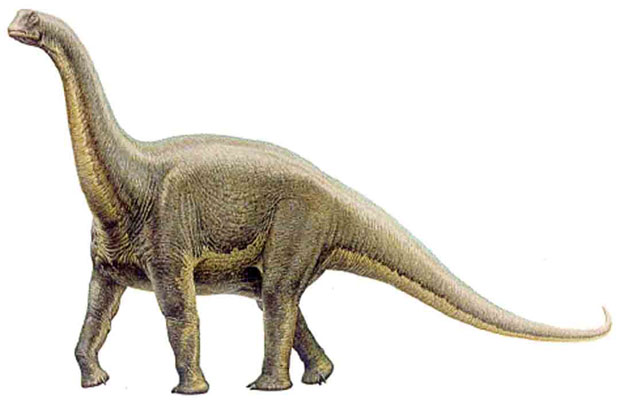 harts-5---Alamosaurus