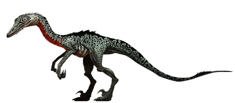 harts-7---Troodon