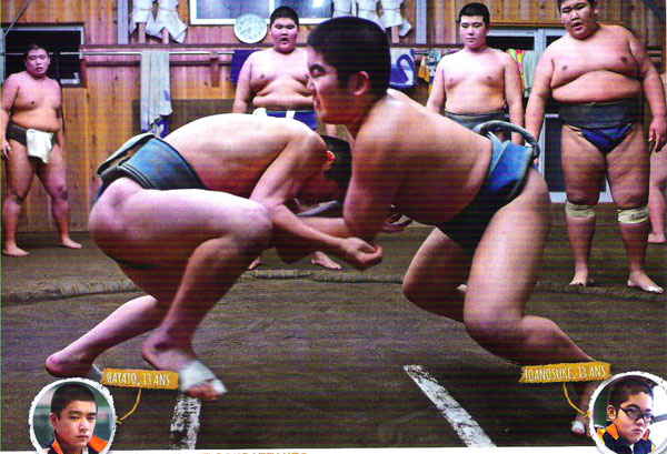 sumo-1_111415
