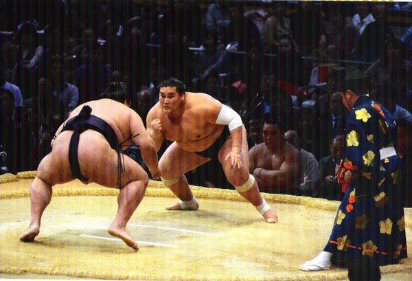 sumo-4_111415