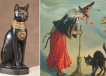 Կատուներու Մոլորակը