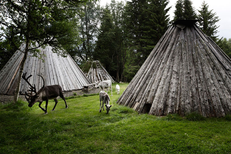 sami-2_013016