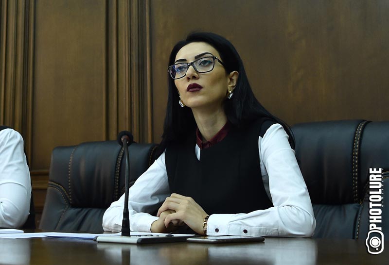 Արփինէ Յովհաննիսեան Կարեւոր Կը Նկատէ  Հասարակական Կազմակերպութիւններու  Ազատ Գործունէութեան Ապահովումը