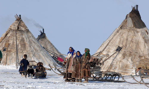 nenetse-1_020616