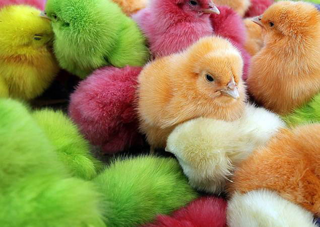 Easter-Lebanon_32416