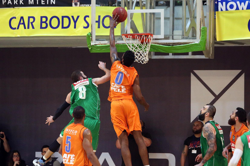 basket1_31316
