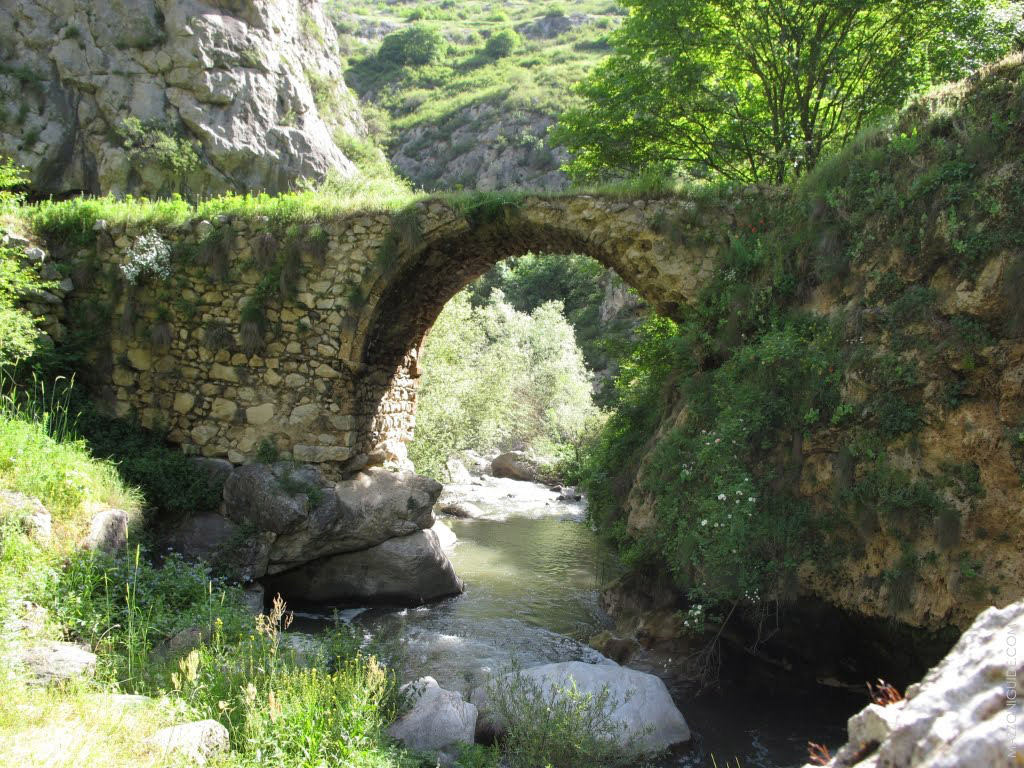 Bridje_41416