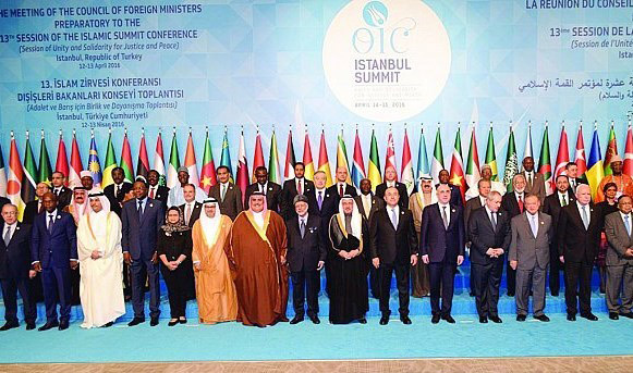 OIC_41416