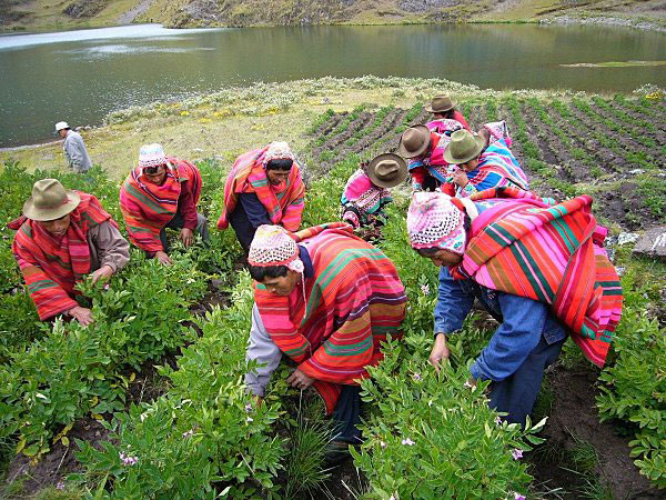 quechuas-4_43016
