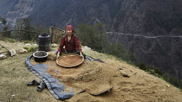 sherpas-4_43016