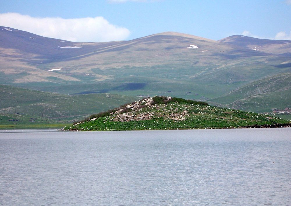 Lake-Arpi