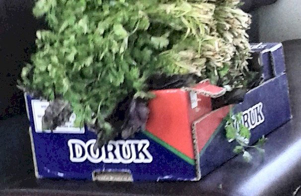 Թրքական ապրանքի սնտուկի նմուշ Երեւանի շուկային մէջ