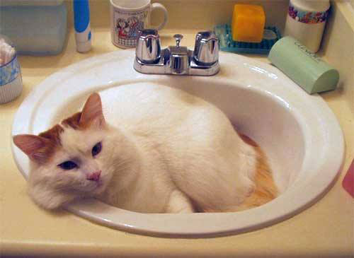 10525739_928669617150535_6013192395237685294_n