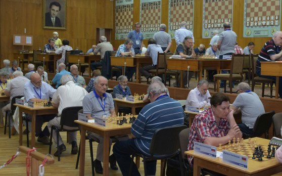 chess-veteran_60616