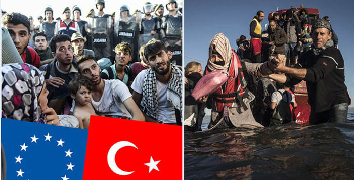 turkey1-612509