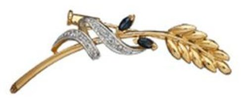 so-chic-bijoux-broche_71416