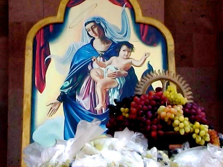 Մամլոյ Արձակուրդ