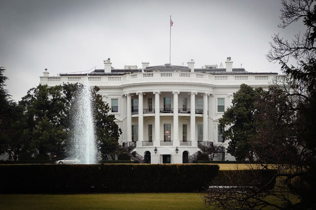 white-house_82616