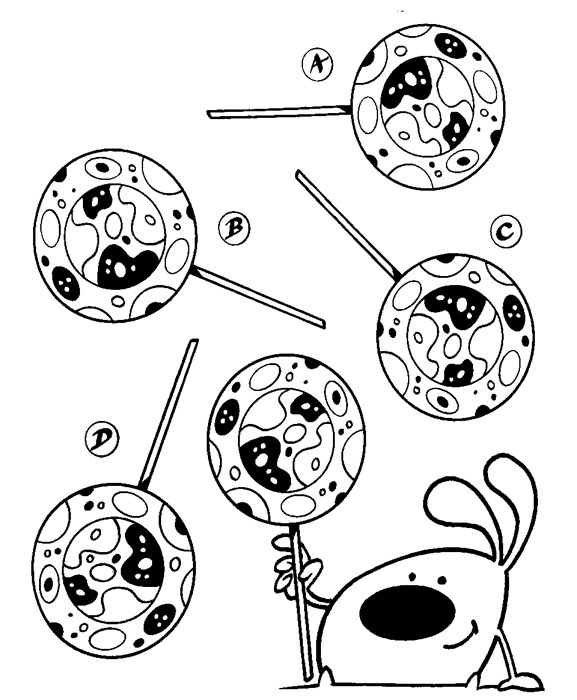 Կրնա՞ս գտնել կերպարին բռնած սիւսեթին նմանող սիւսեթը: