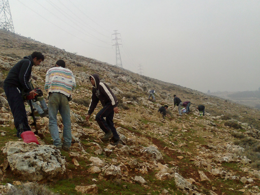 mousaler1_91716