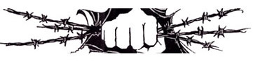 logo41