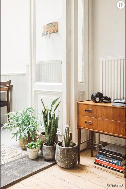 441631-idee-deco-n-6-des-cactus-en-pot-a-meme-990x0-3
