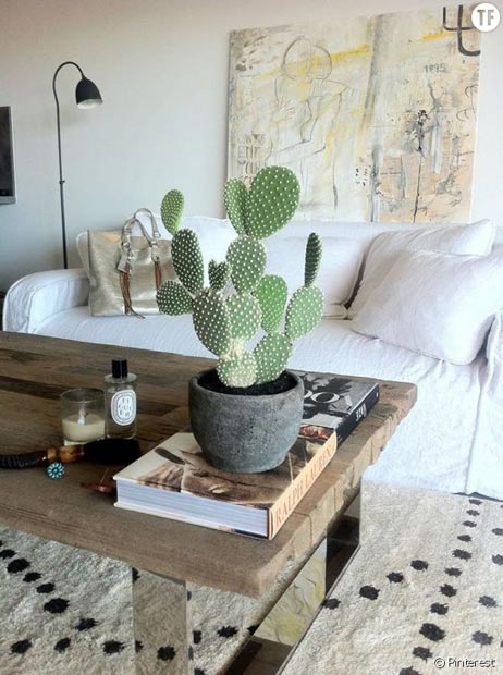 441676-idee-deco-n-15-un-cactus-sur-la-table-990x0-2