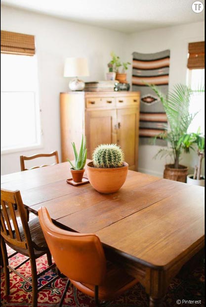 441696-idee-deco-n-19-des-cactus-sur-la-table-990x0-2-1