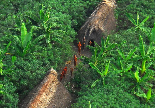 brasil_112516