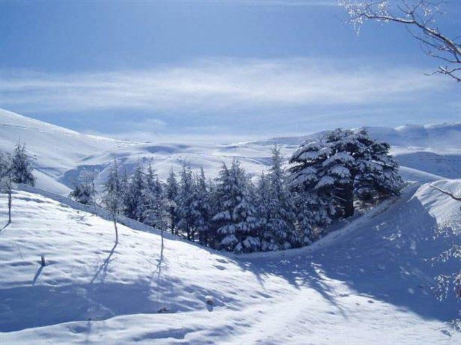 snow_113016