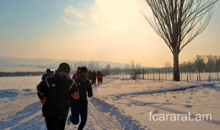 ararad_11117