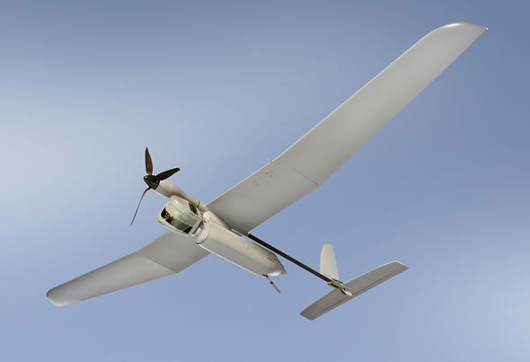 skylark1_11717
