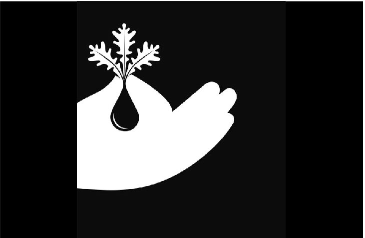 Ի՞նչ Տեսաք Առաջին Հերթին