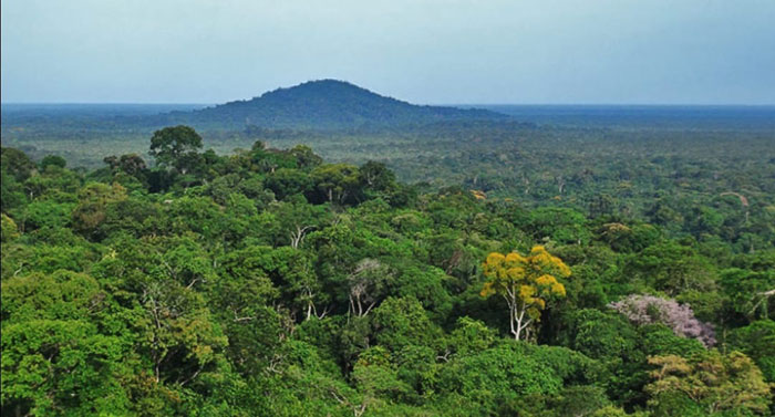 Բնութեան Պահապան Փապլոն